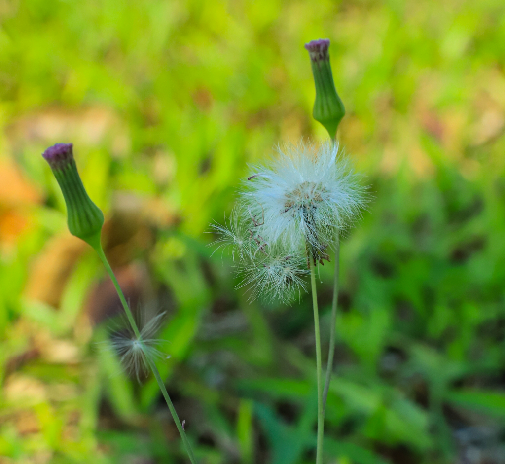 5月27日16:00起 对口征集志愿开始！amjs澳金沙门线路首页还有名额